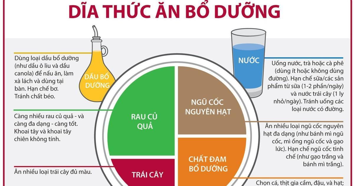 Đĩa thức ăn cân bằng dinh dưỡng